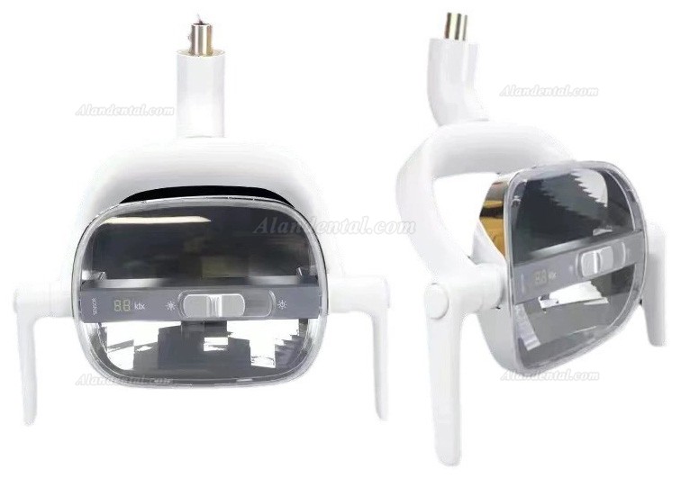 Dental Chair Light Induction LED Oral Lamp For Dental Unit Chair
